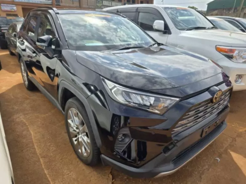 Toyota RAV4   - 2019