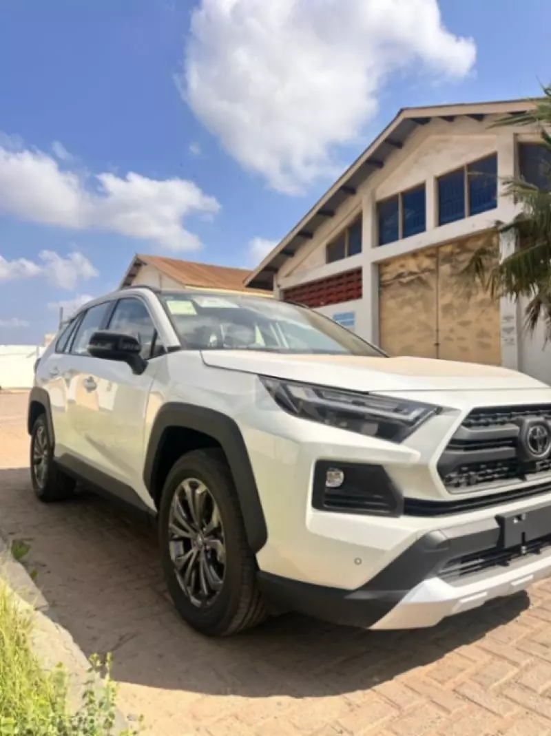 TOYOTA RAV 4   - 2022