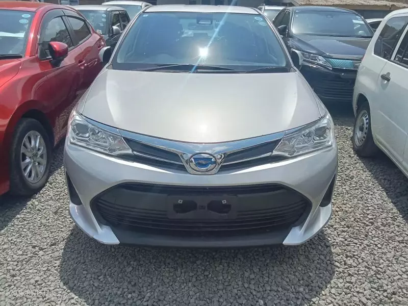 TOYOTA Fielder    - 2020