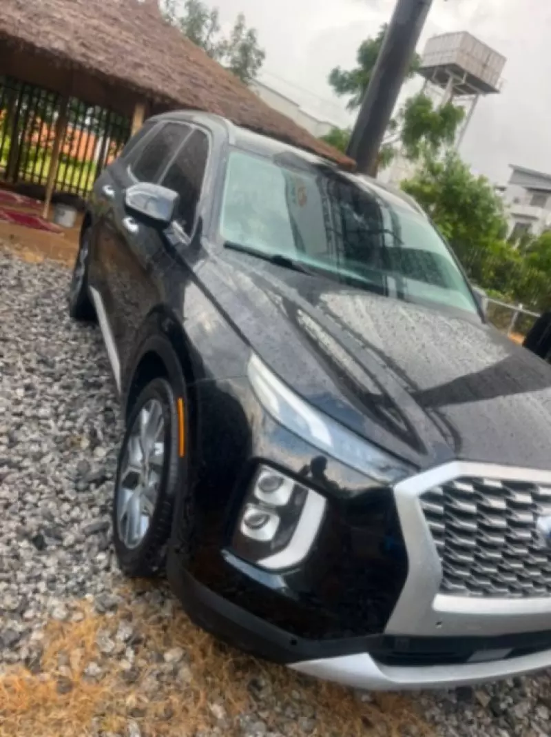 Hyundai Palisade   - 2019