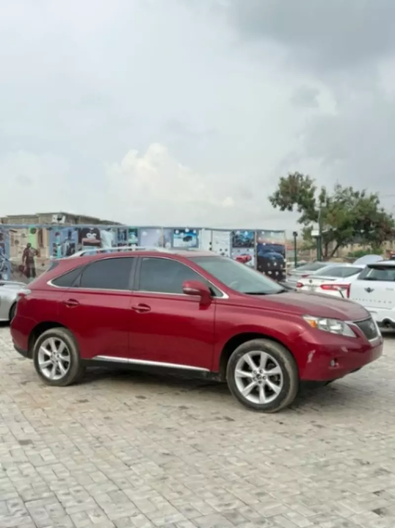 Lexus RX   - 2010