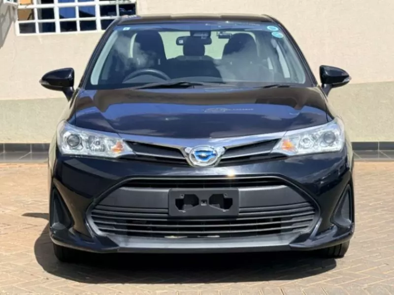 Toyota Axio    - 2019