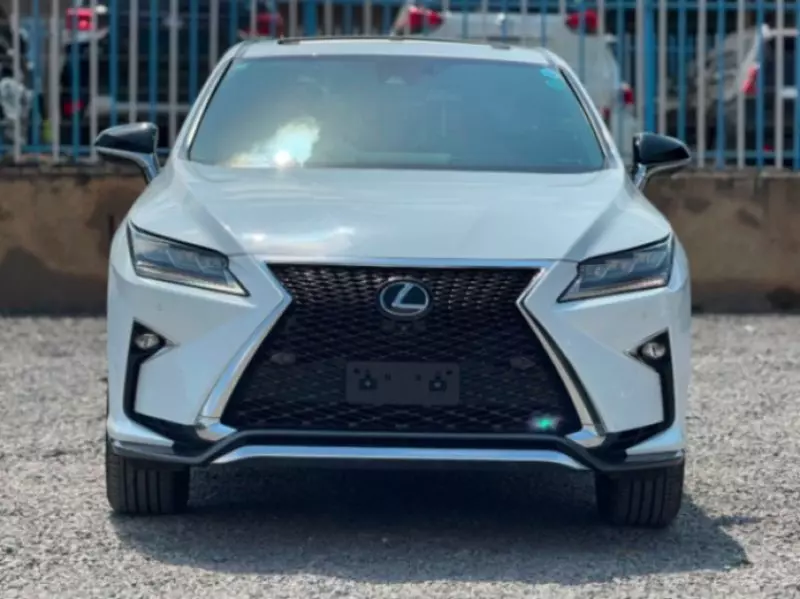 Lexus RX 300   - 2019