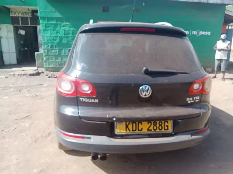 Volkswagen Tiguan   - 2011