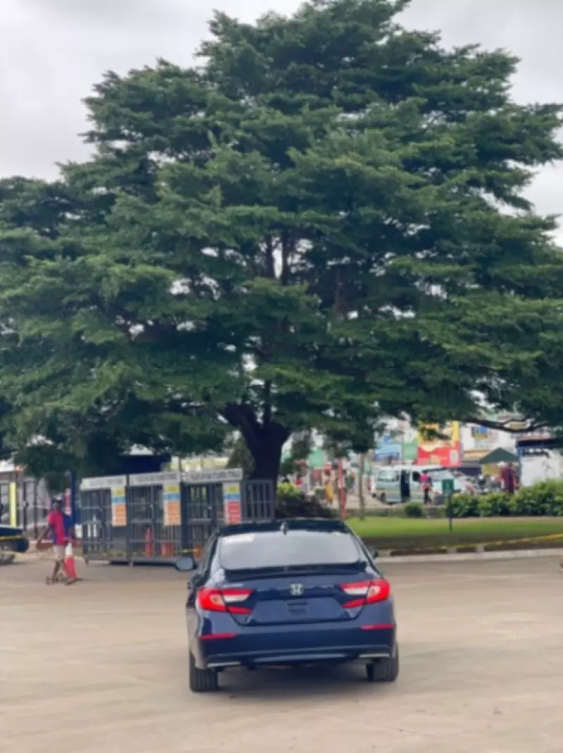 Honda Accord   - 2018