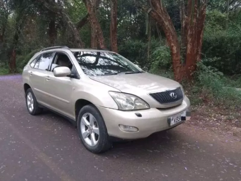 Lexus RX 300   - 2005