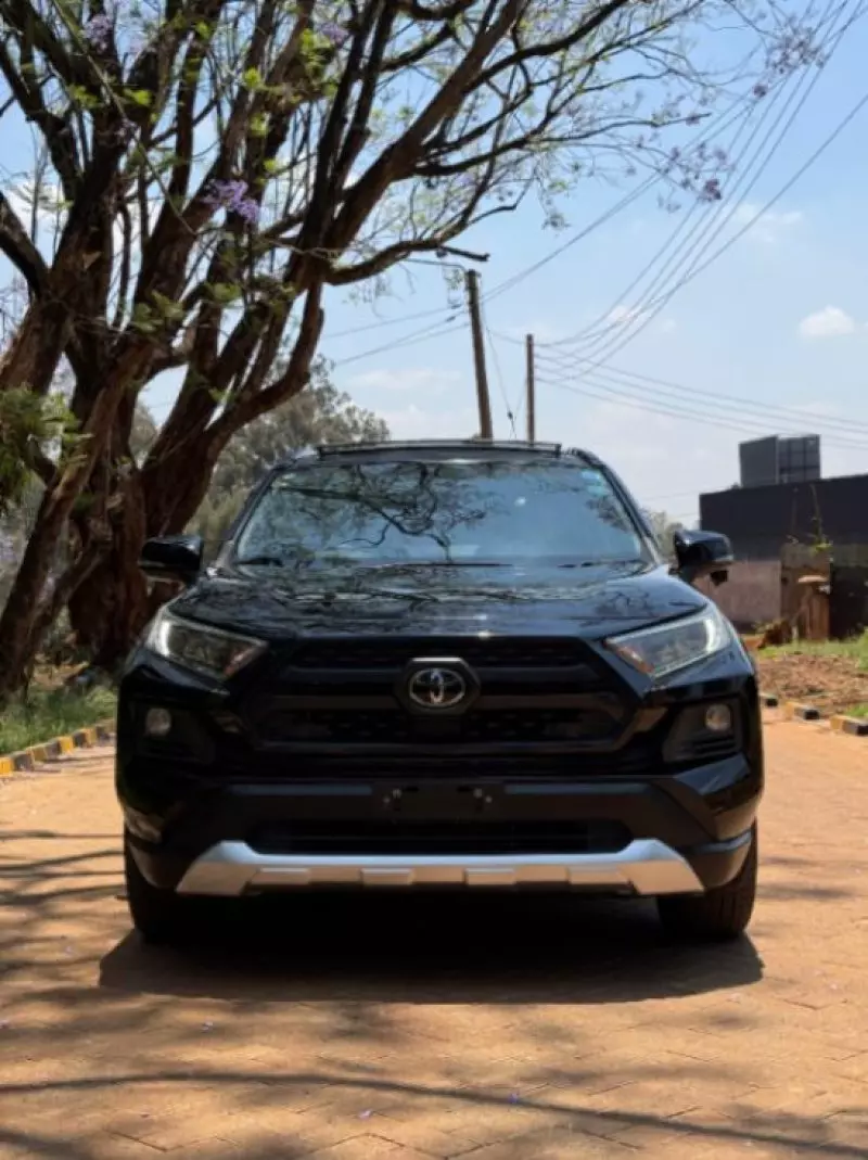 Toyota RAV 4   - 2019