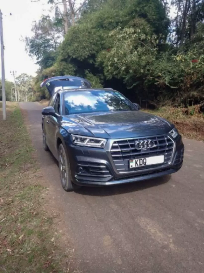 Audi Q5 - 2019