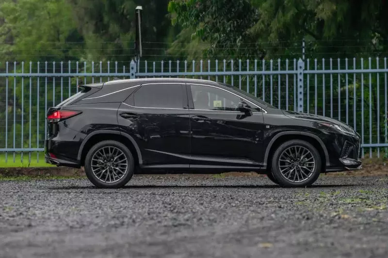 Lexus RX 300   - 2019