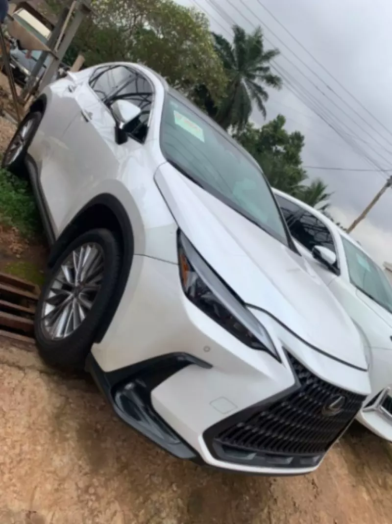Lexus NX   - 2023