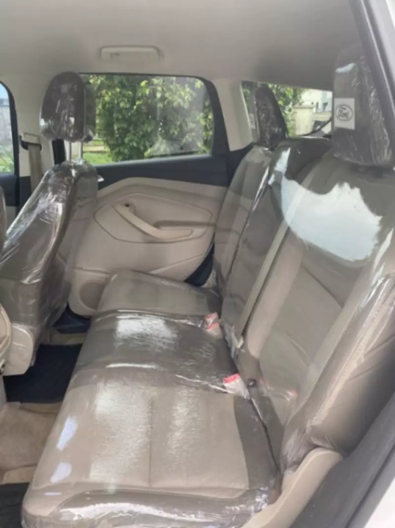 Ford Econovan   - 2019