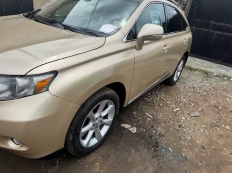 Lexus RX   - 2010