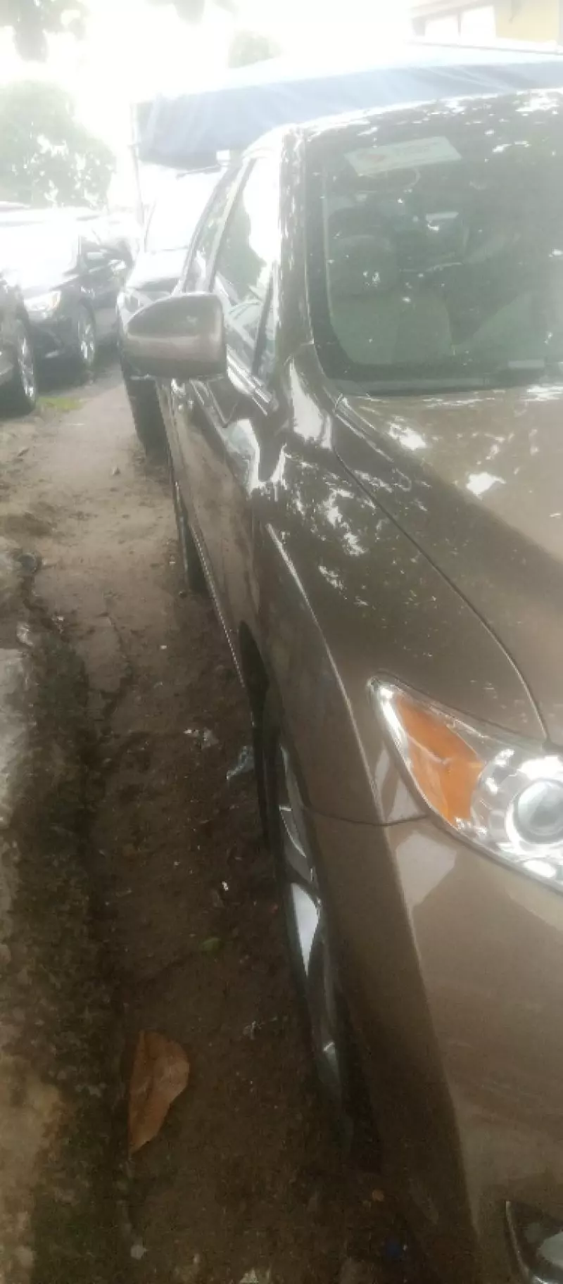 Toyota Venza   - 2010