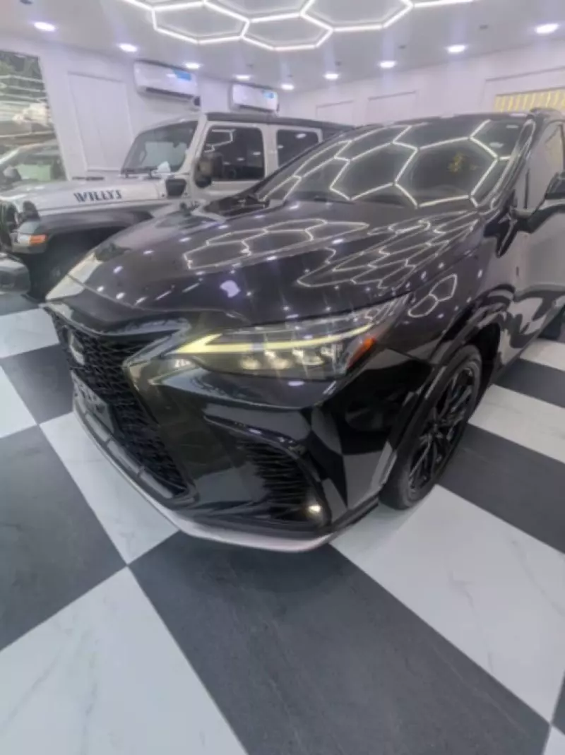 Lexus NX300h Hybrid   - 2022