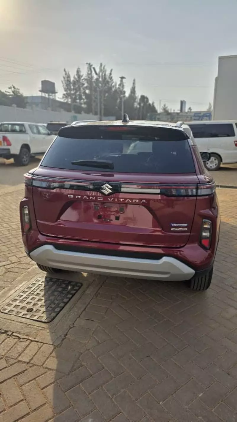 SUZUKI Grand Vitara   - 2025