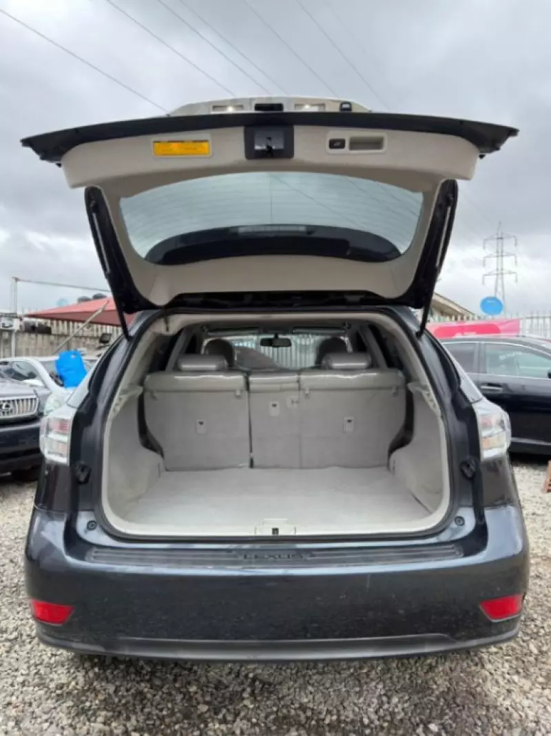 Lexus RX   - 2010