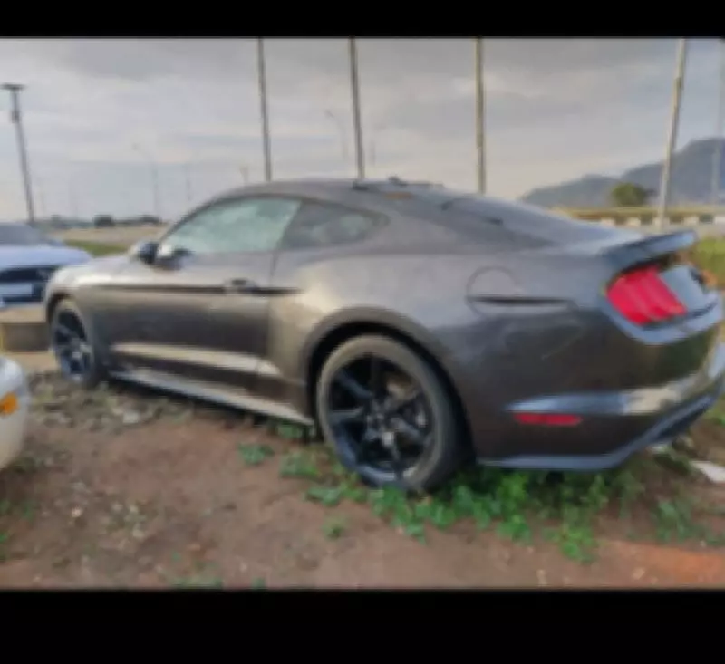 Ford Mustang   - 2019
