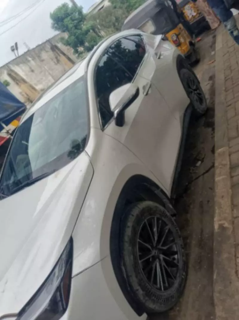 Lexus NX   - 2024