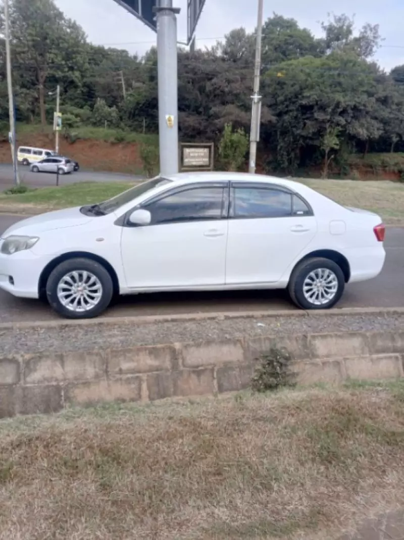 TOYOTA Axio    - 2008