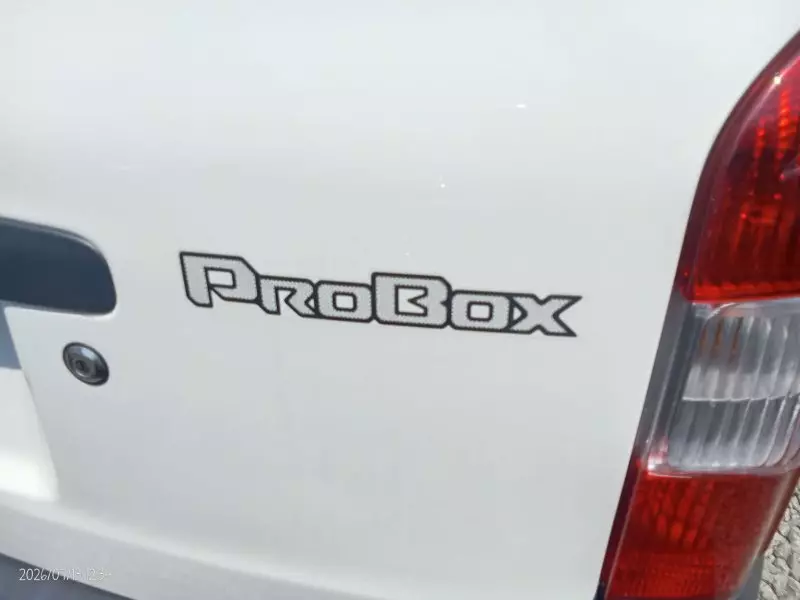 TOYOTA Probox    - 2019