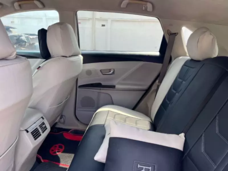 Toyota Venza - 2010
