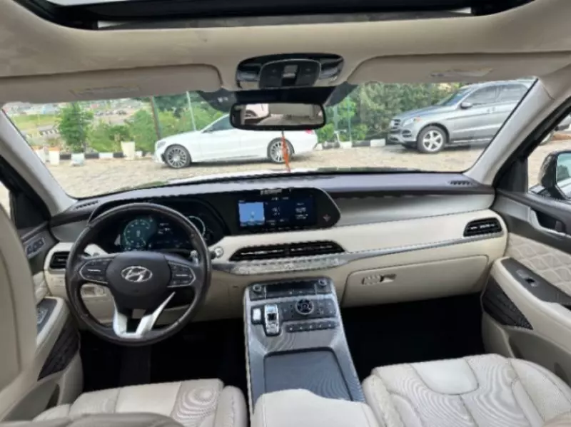 Hyundai Palisade   - 2020