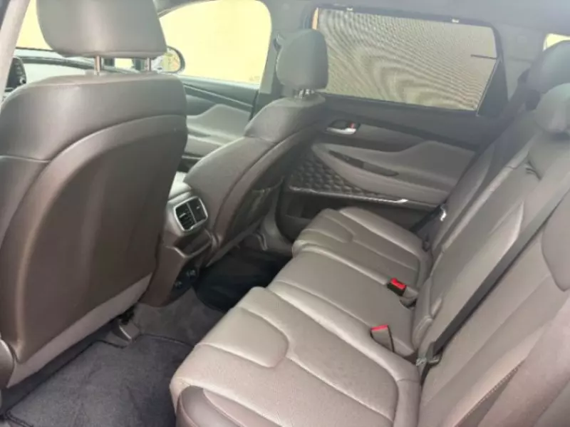 Hyundai Santa Fe - 2020