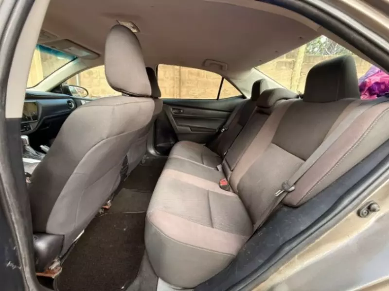 Honda Civic   - 2019
