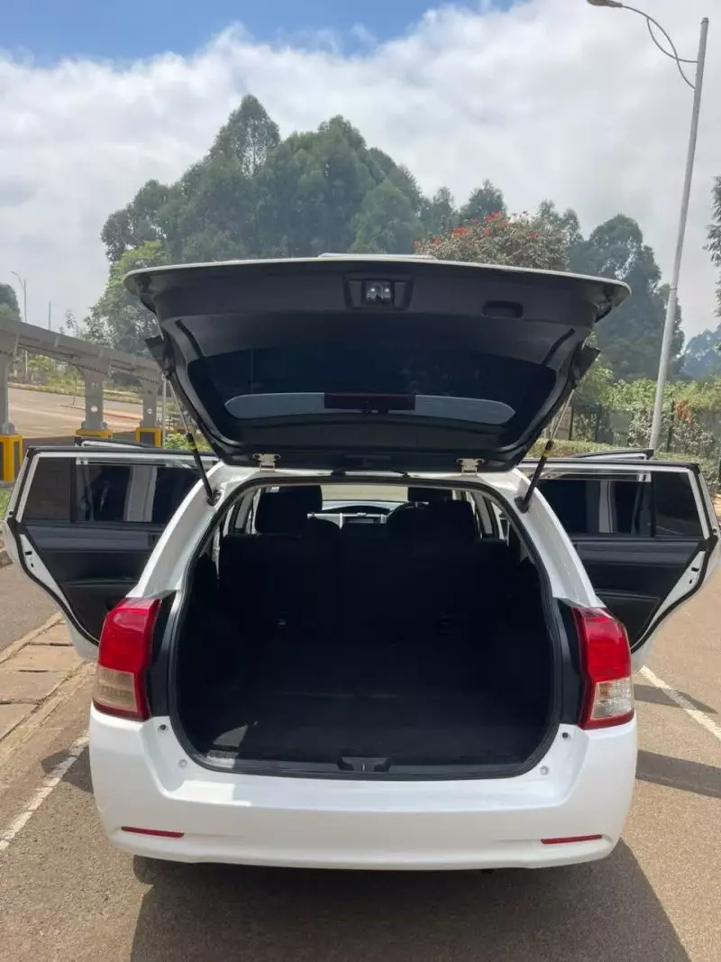 TOYOTA Fielder hybrid    - 2017