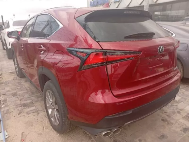 Lexus NX 300   - 2020