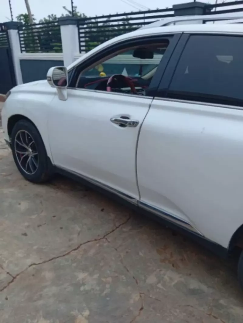 Lexus RX   - 2010