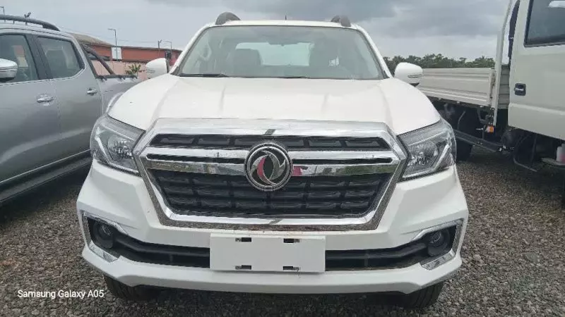 DONGFENG RICH   - 2025