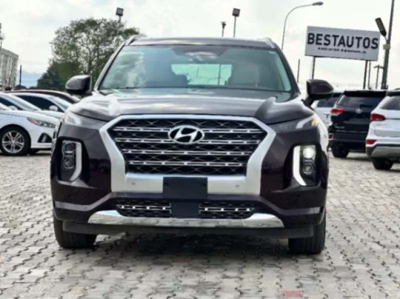 Hyundai Palisade   - 2020