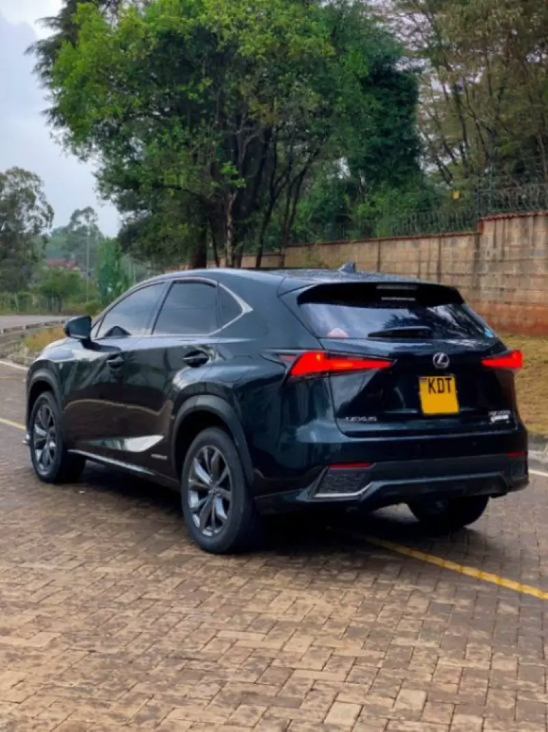 Lexus NX   - 2018