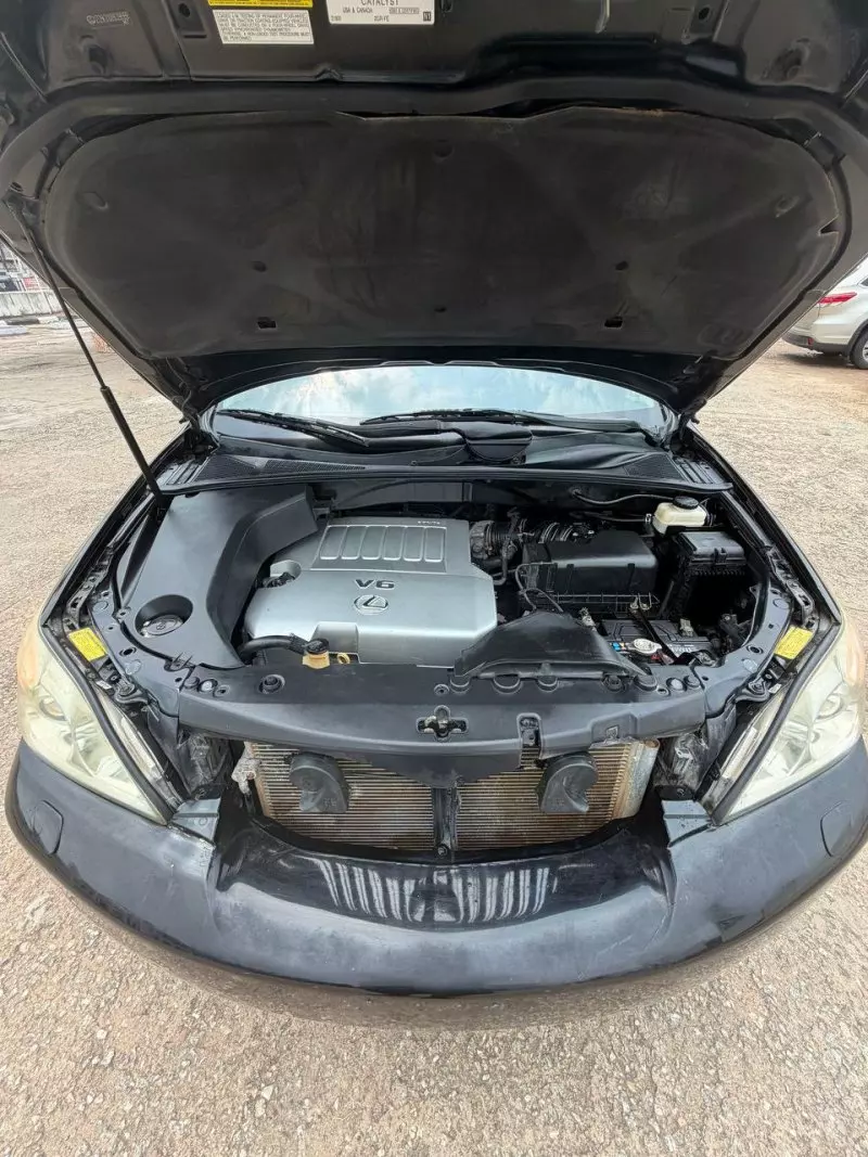 Lexus RX   - 2009