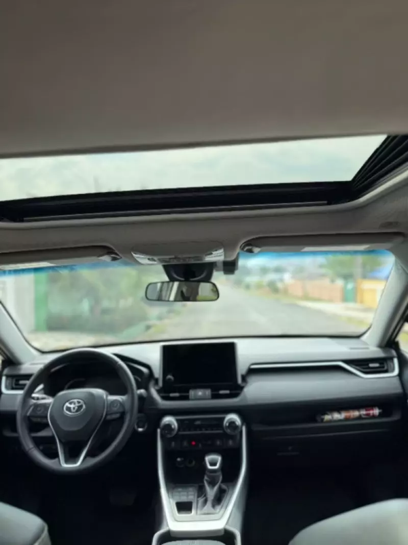 TOYOTA RAV 4   - 2019