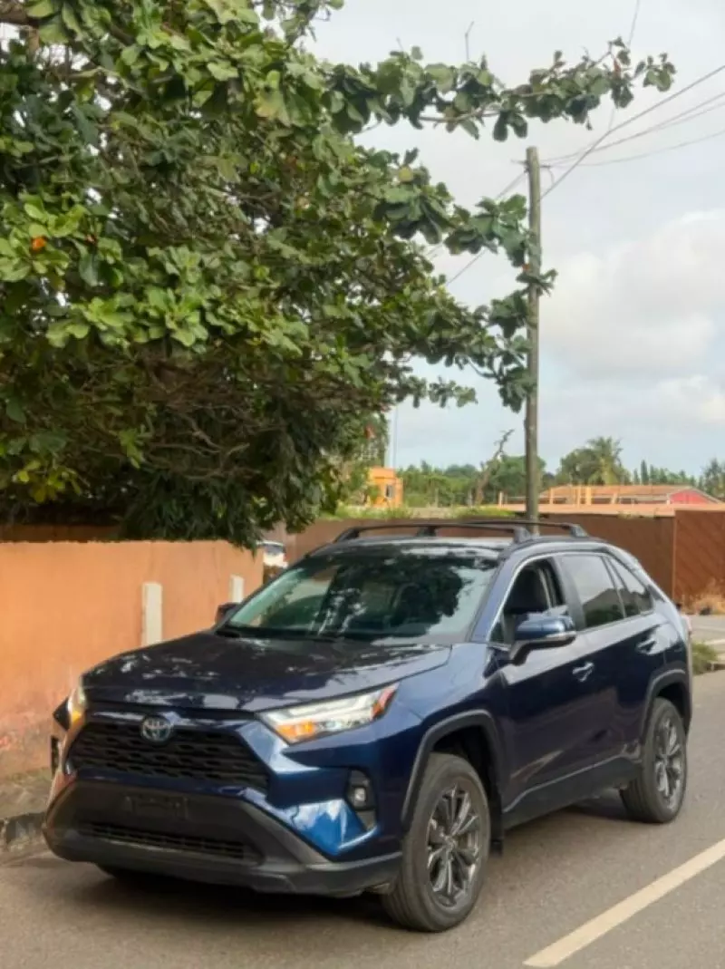 TOYOTA RAV 4   - 2024