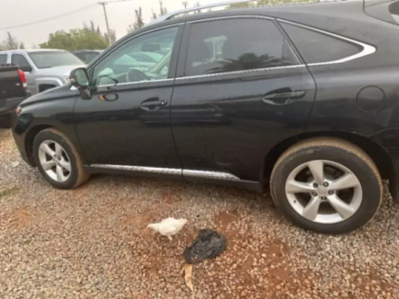 Lexus RX   - 2010