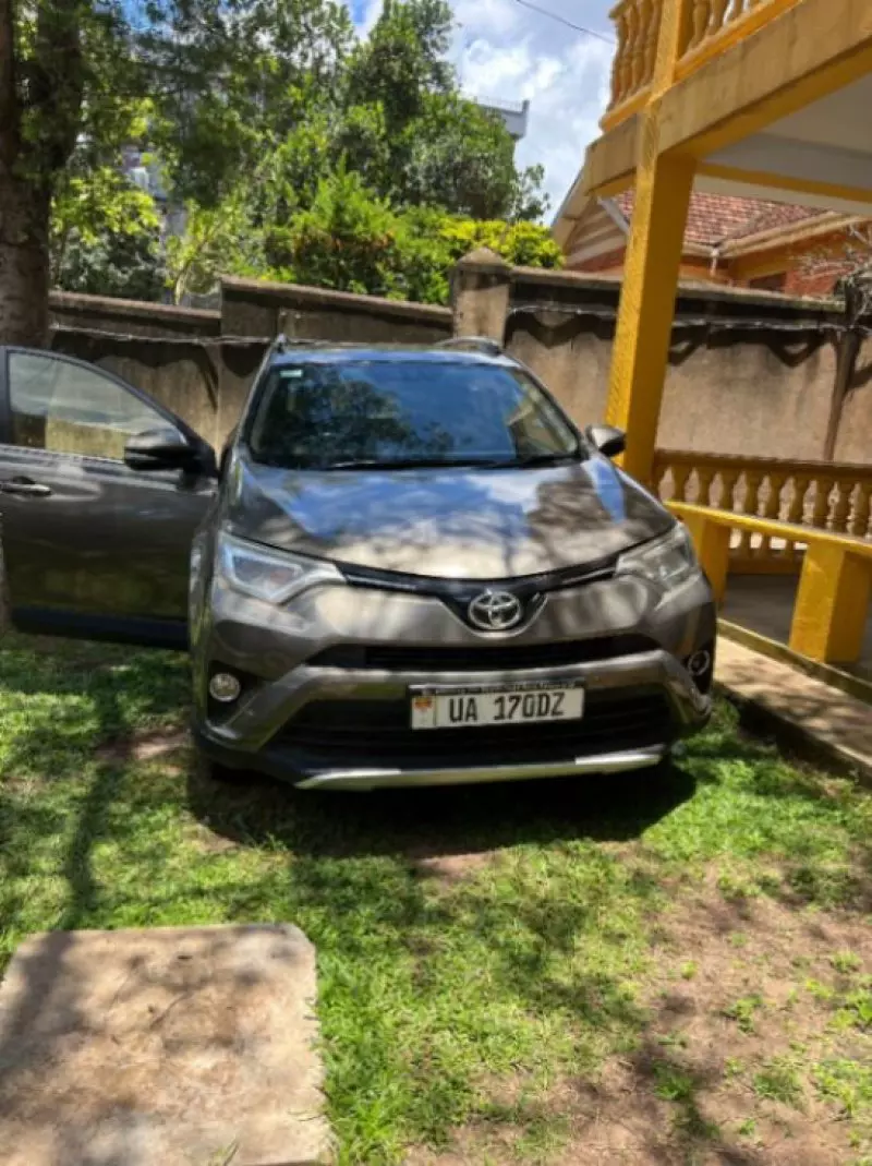 Toyota RAV 4   - 2019