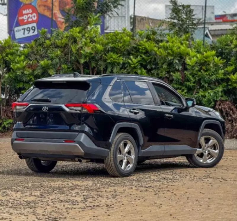 Toyota RAV 4 - 2020