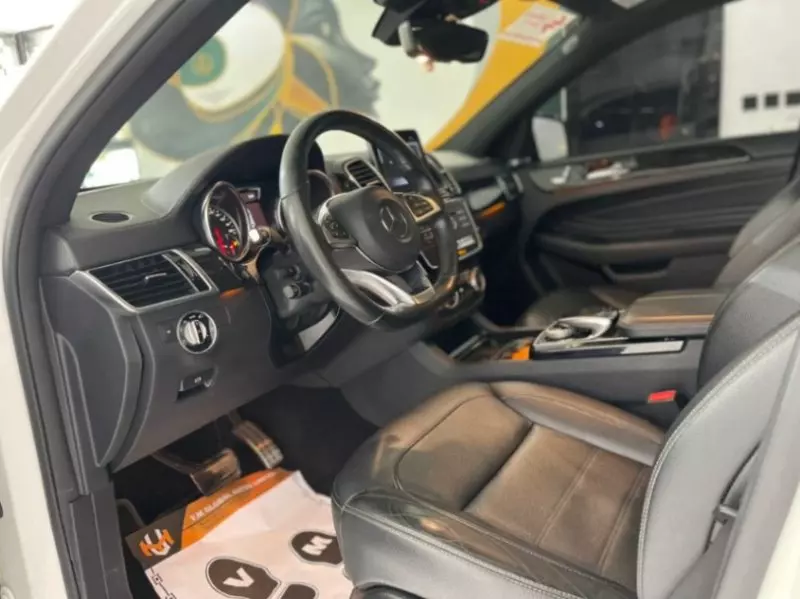 Mercedes-Benz GLE 43 AMG   - 2019