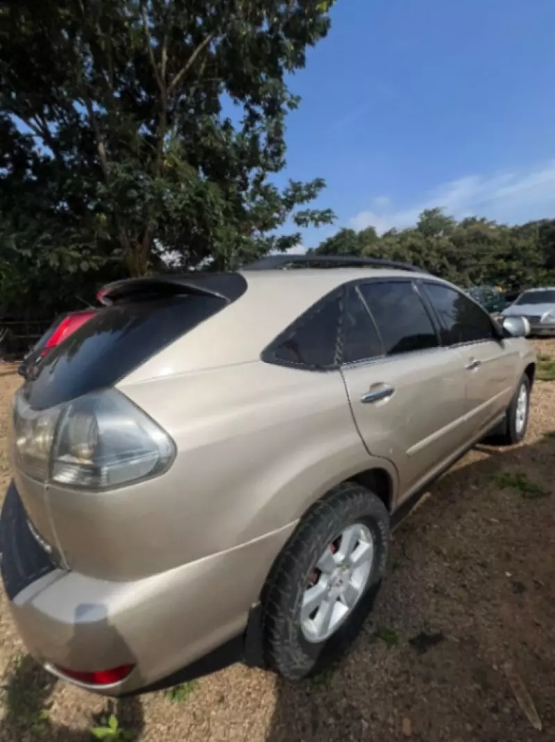 Lexus RX   - 2004