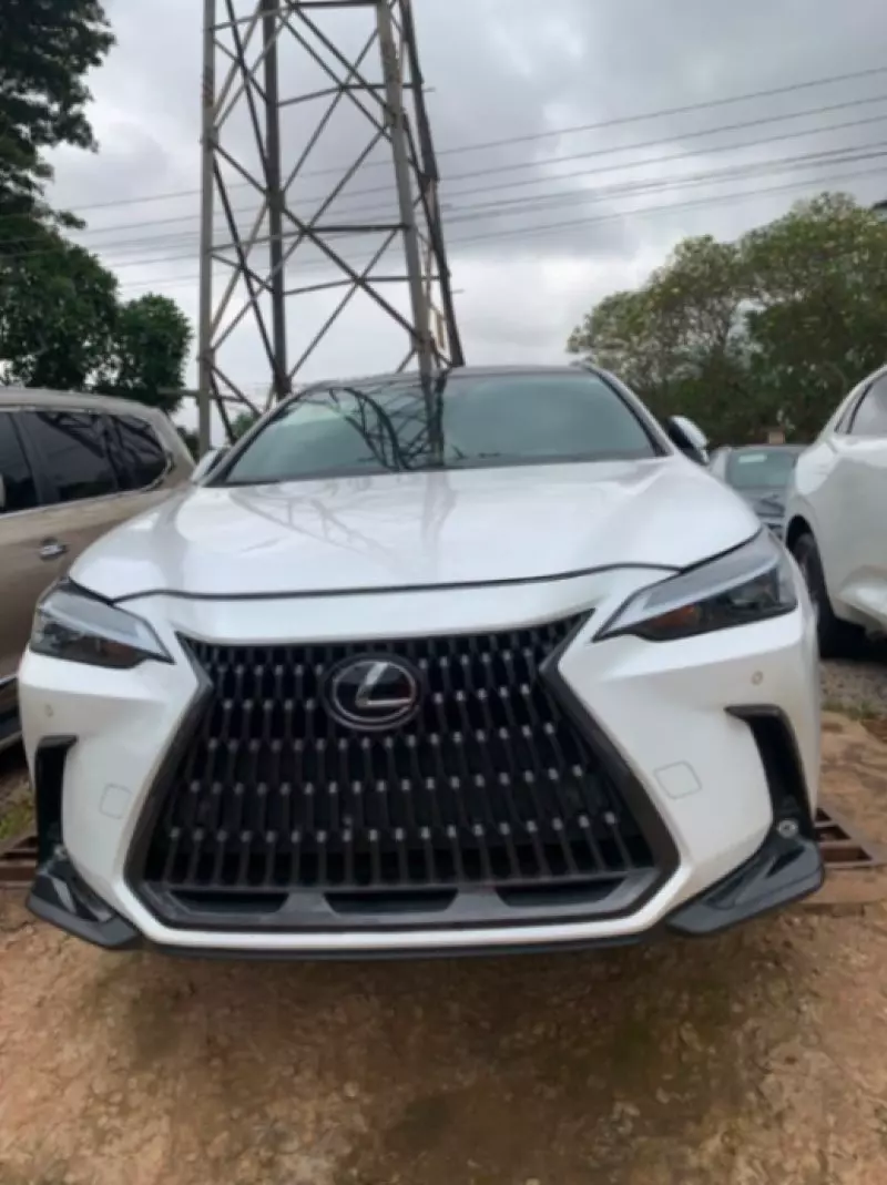 Lexus NX   - 2023
