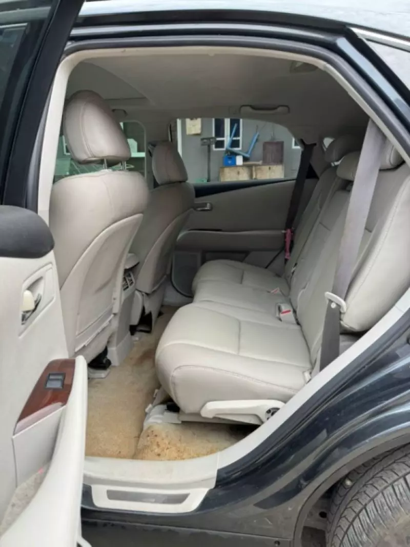 Lexus RX 350 - 2010