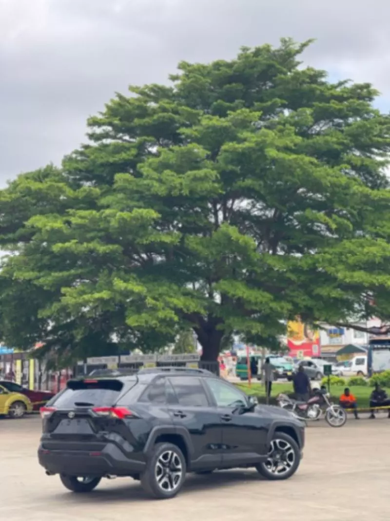 Toyota RAV4   - 2019