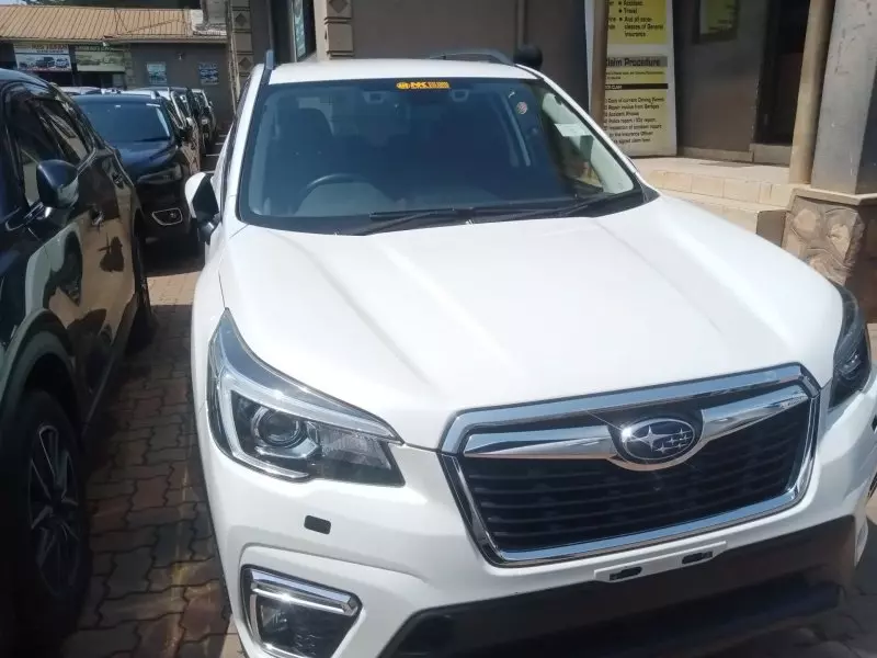 Subaru Forester   - 2019