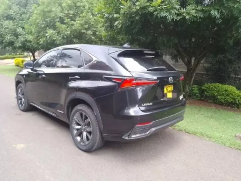 Lexus NX300h Hybrid   - 2018