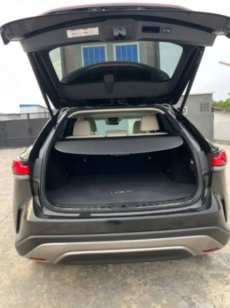 Lexus RX   - 2024