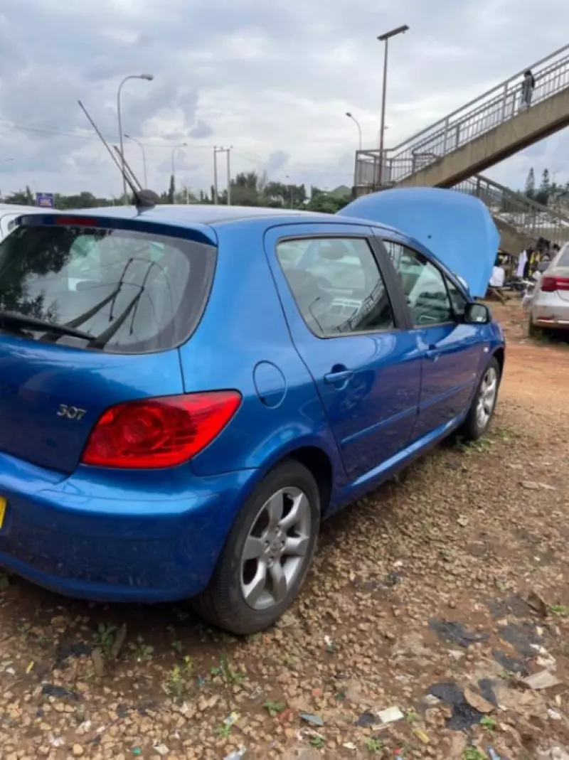 Peugeot 307   - 2008