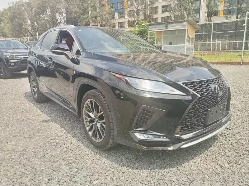 Lexus RX 300   - 2019